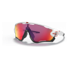 OAKLEY JAWBREAKER OCCHIALI SCI 929005